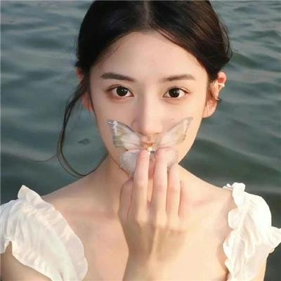 听风的歌